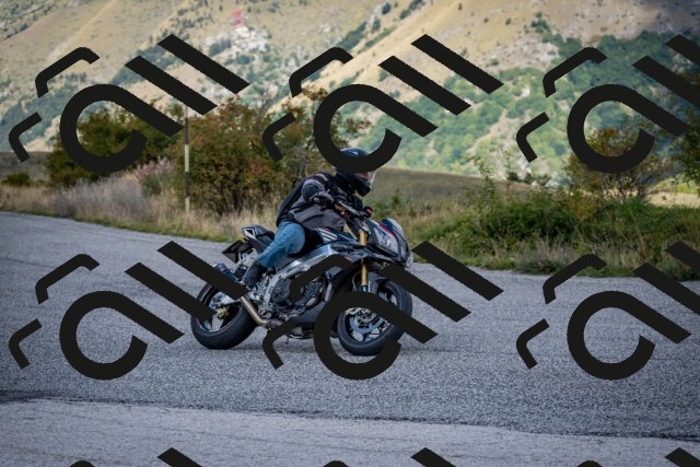 202509281206-DSC_7282_c2