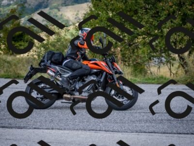 202509281206-DSC_7285_c2