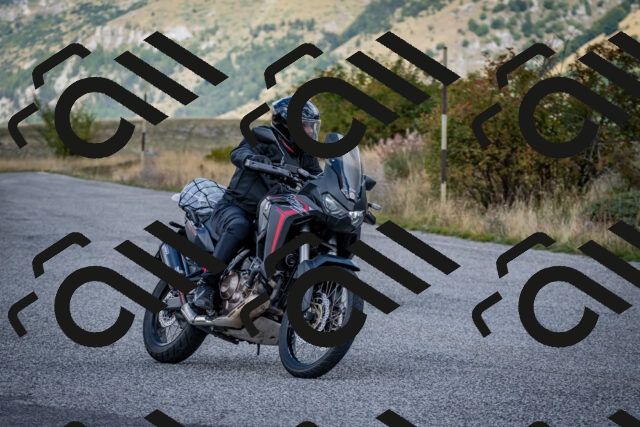 202509281206-DSC_7288_c2