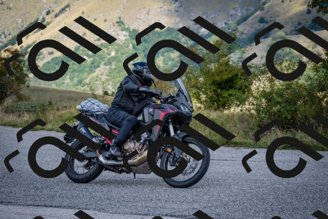 202509281206-DSC_7289_c2