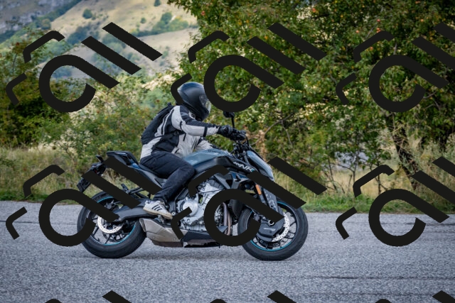 202509281207-DSC_7301_c2