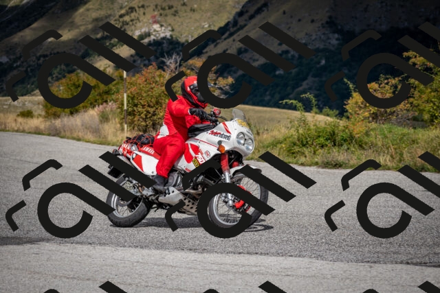 202509281239-DSC_7329_c2