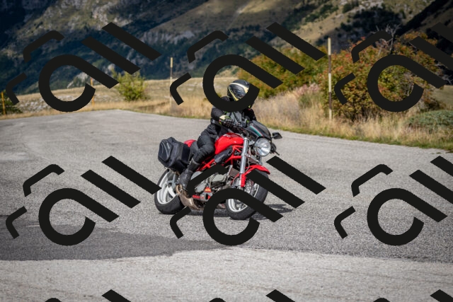 202509281239-DSC_7333_c2