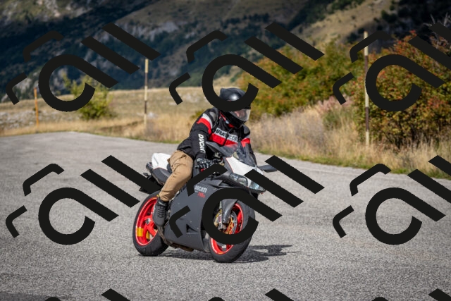 202509281239-DSC_7338_c2