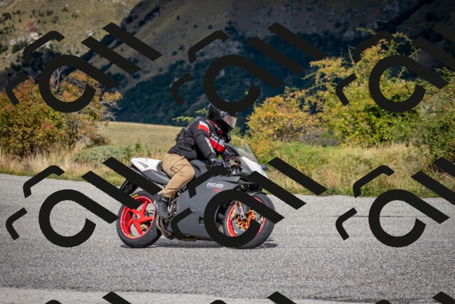 202509281239-DSC_7339_c2