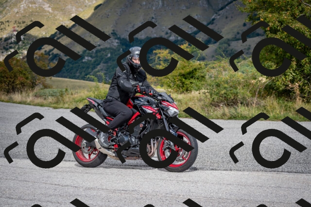 202509281242-DSC_7352_c2