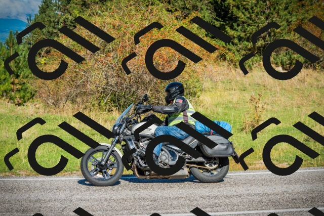 202509281101-DSC01046_c1_