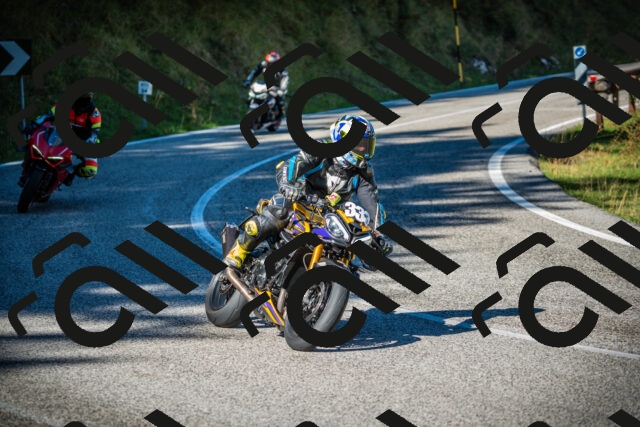 202509281107-DSC01089_c1_