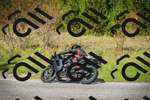 202509281202-DSC01438_c1_