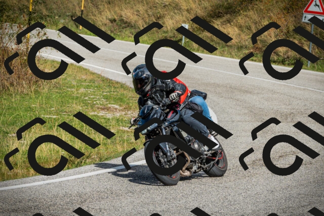 202509281202-DSC01445_c1_