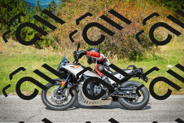 202509281203-DSC01451_c1_