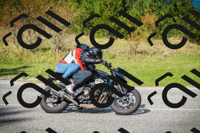 202509281203-DSC01455_c1_