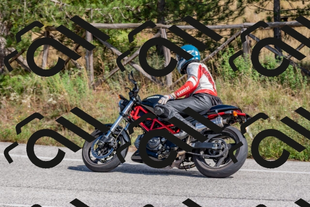 202509281308-DSC_5482_c4_