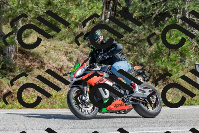 202509281309-DSC_5491_c4_