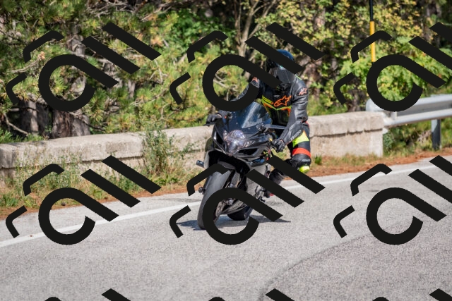 202509281310-DSC_5498_c4_