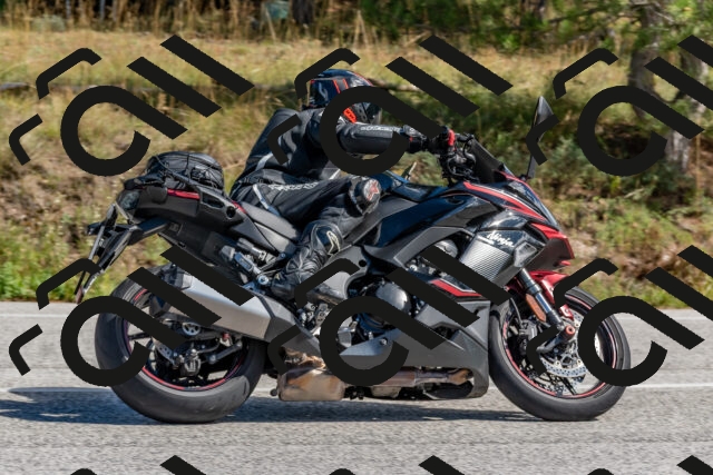 202509281316-DSC_5527_c4_