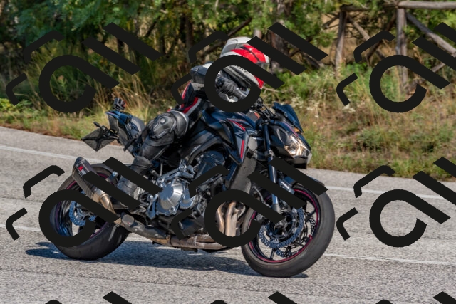 202509281320-DSC_5546_c4_