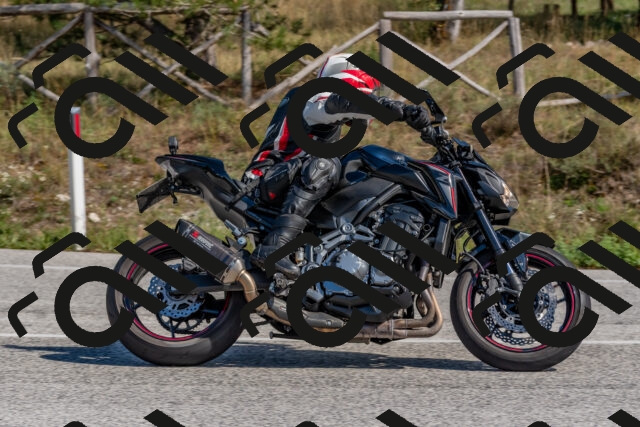 202509281320-DSC_5547_c4_