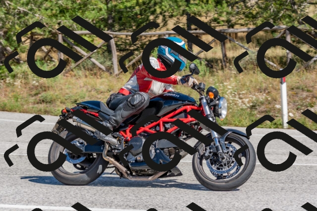 202509281322-DSC_5557_c4_