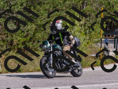 202509281348-DSC_5662_c4_