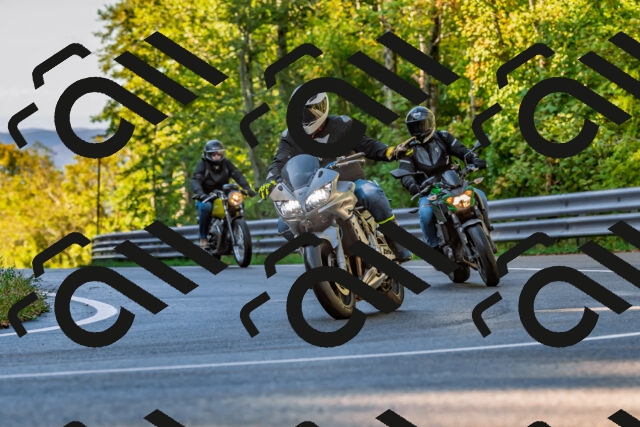 202509281021-DSC_4668_d2_