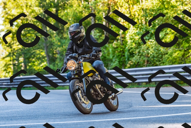 202509281021-DSC_4673_d2_