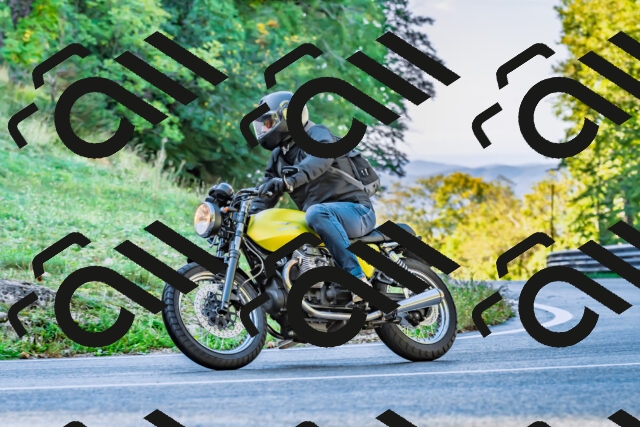 202509281021-DSC_4674_d2_