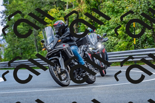 202509281030-DSC_4694_d2_