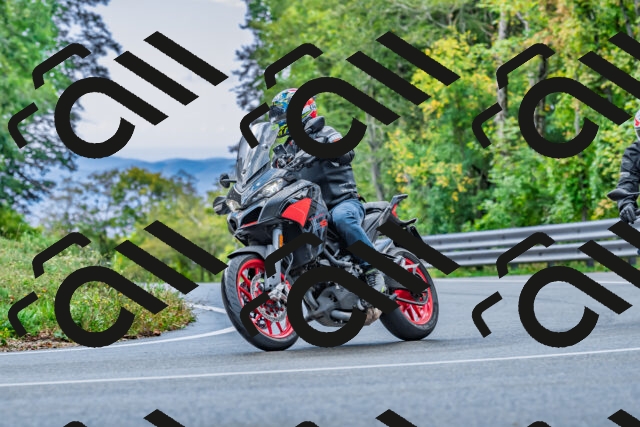 202509281030-DSC_4698_d2_