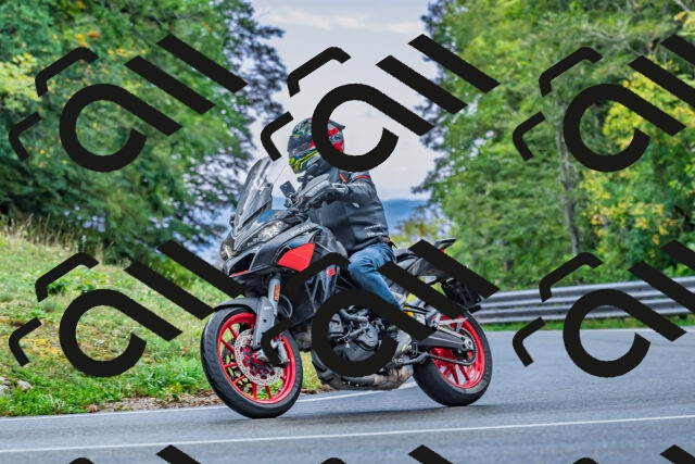 202509281030-DSC_4699_d2_