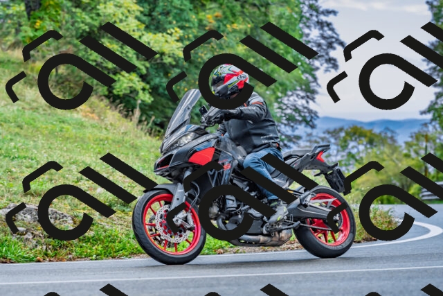 202509281030-DSC_4700_d2_