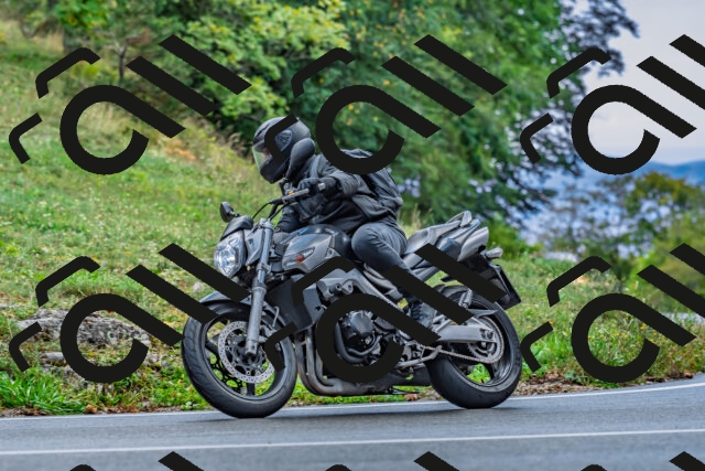 202509281030-DSC_4706_d2_