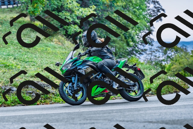 202509281034-DSC_4732_d2_