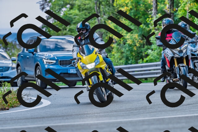 202509281036-DSC_4735_d2_