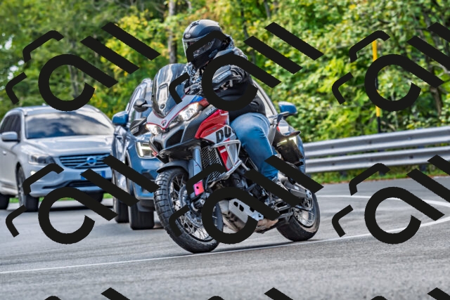 202509281036-DSC_4740_d2_