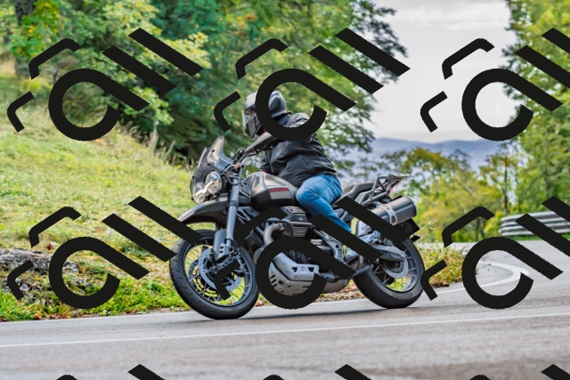 202509281039-DSC_4753_d2_