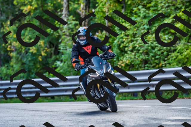 202509281043-DSC_4756_d2_