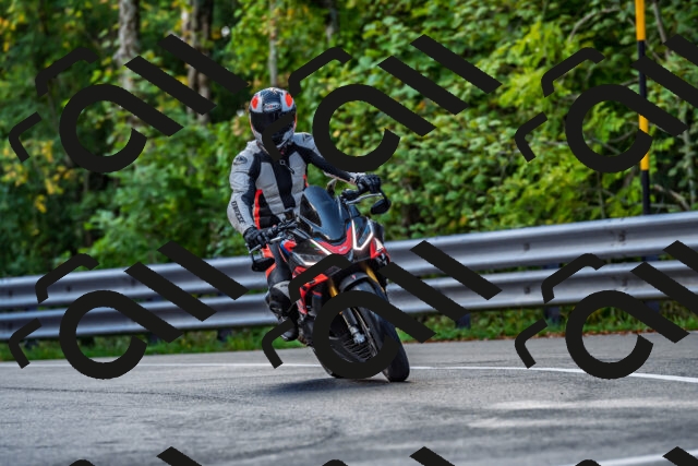 202509281044-DSC_4766_d2_