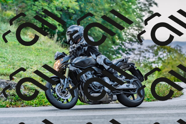 202509281044-DSC_4773_d2_