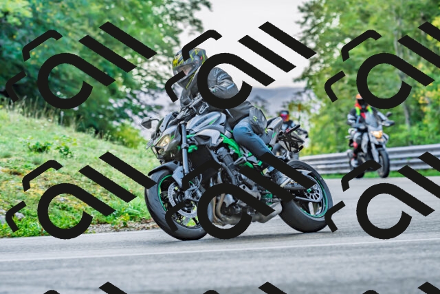 202509281045-DSC_4790_d2_