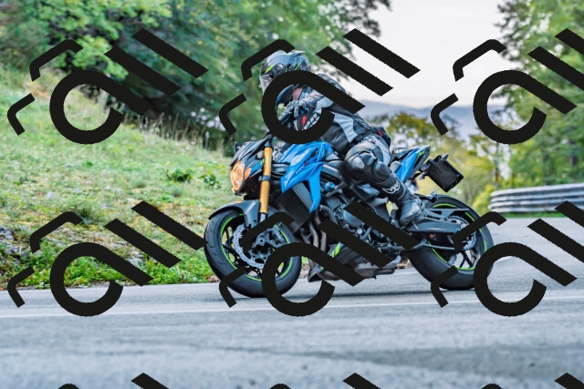 202509281045-DSC_4794_d2_