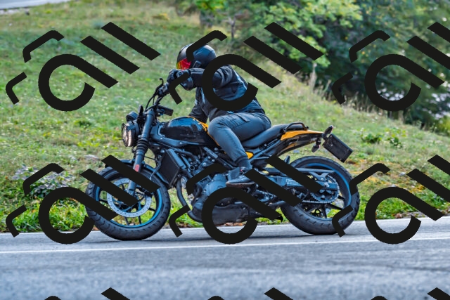 202509281045-DSC_4801_d2_