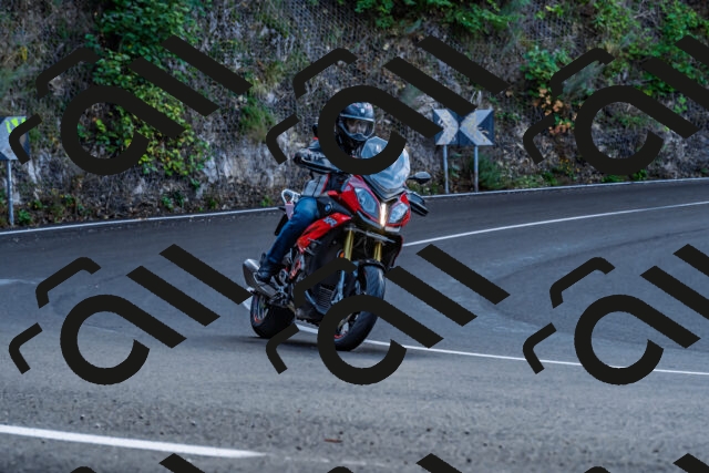 202509281046-DSC_4808_d2_