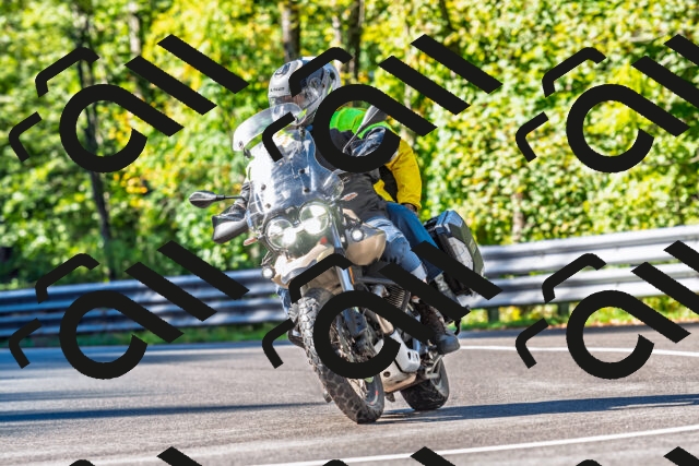 202509281050-DSC_4846_d2_