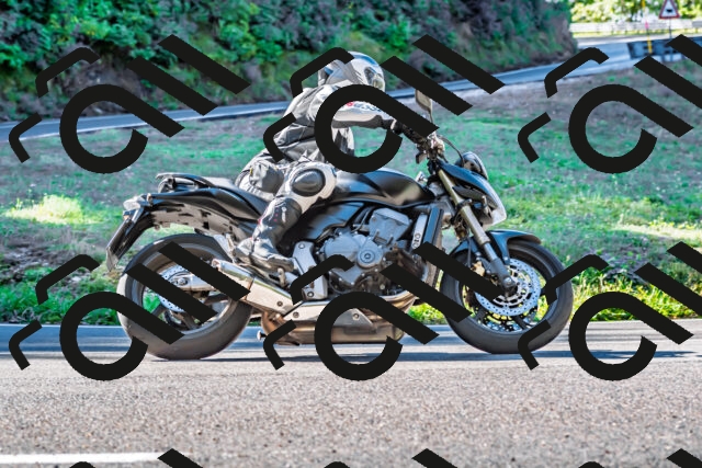 202509281055-DSC_4859_d2_