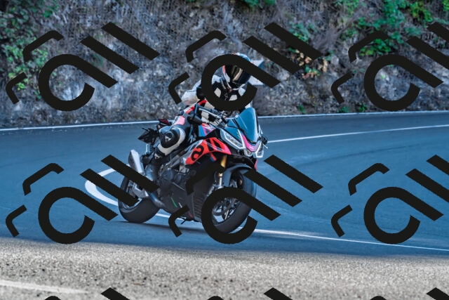 202509281055-DSC_4864_d2_