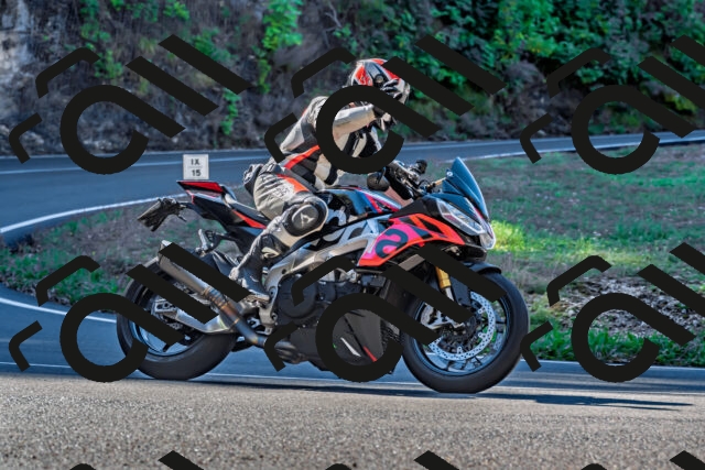 202509281055-DSC_4867_d2_