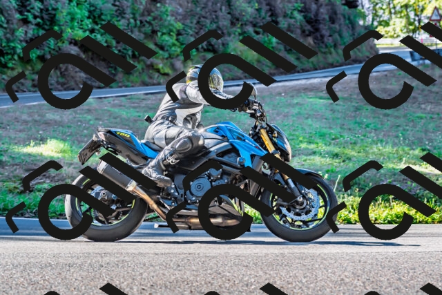 202509281055-DSC_4874_d2_