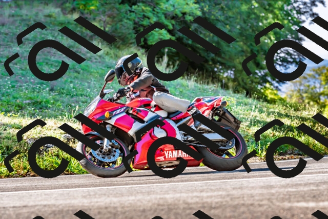 202509281055-DSC_4877_d2_