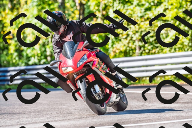 202509281056-DSC_4879_d2_